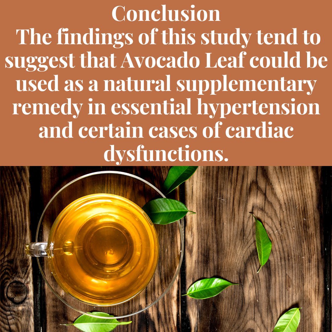Heart Health & the Avocado Leaf