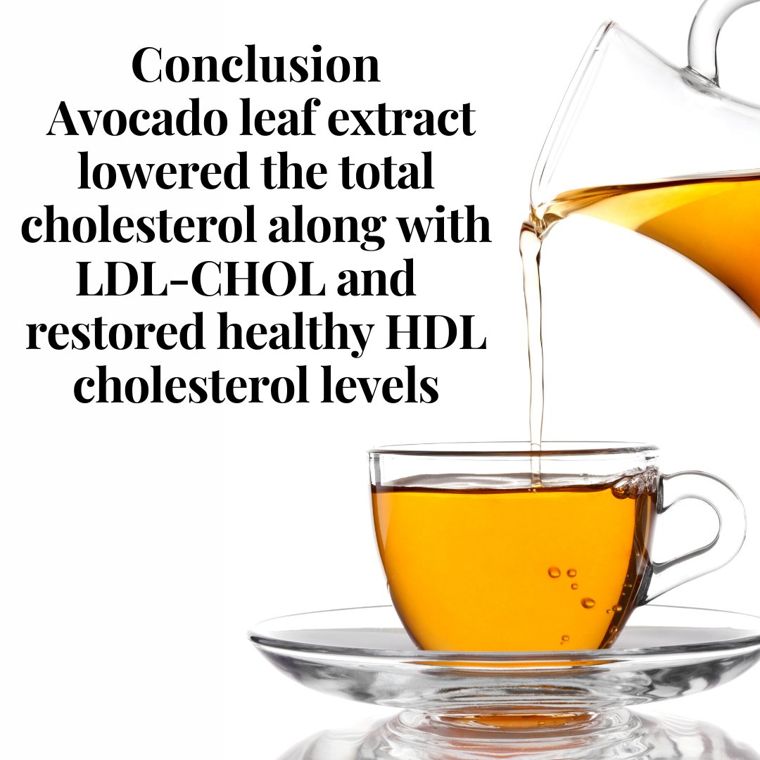 Avocado leaf helps cholesterol