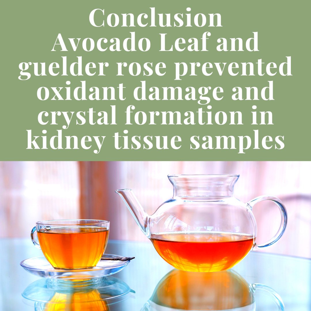 Avocado Leaf/Guelder Rose & Kidney Stones