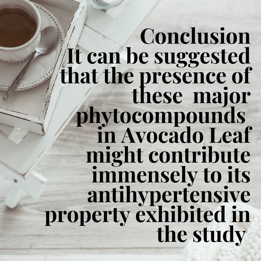 Avocado Leaves & Blood Pressure-  A 2022 Study Provides New Insight