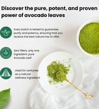 AvoShot - Pure Avocado Leaf Powder - Avocado Tea Co.