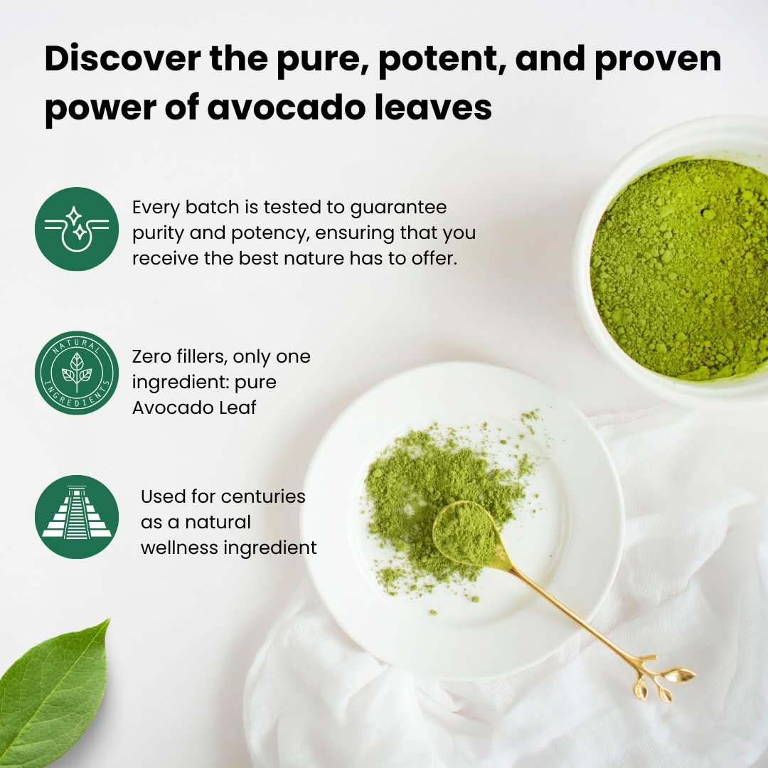 AvoShot - Pure Avocado Leaf Powder - Avocado Tea Co.