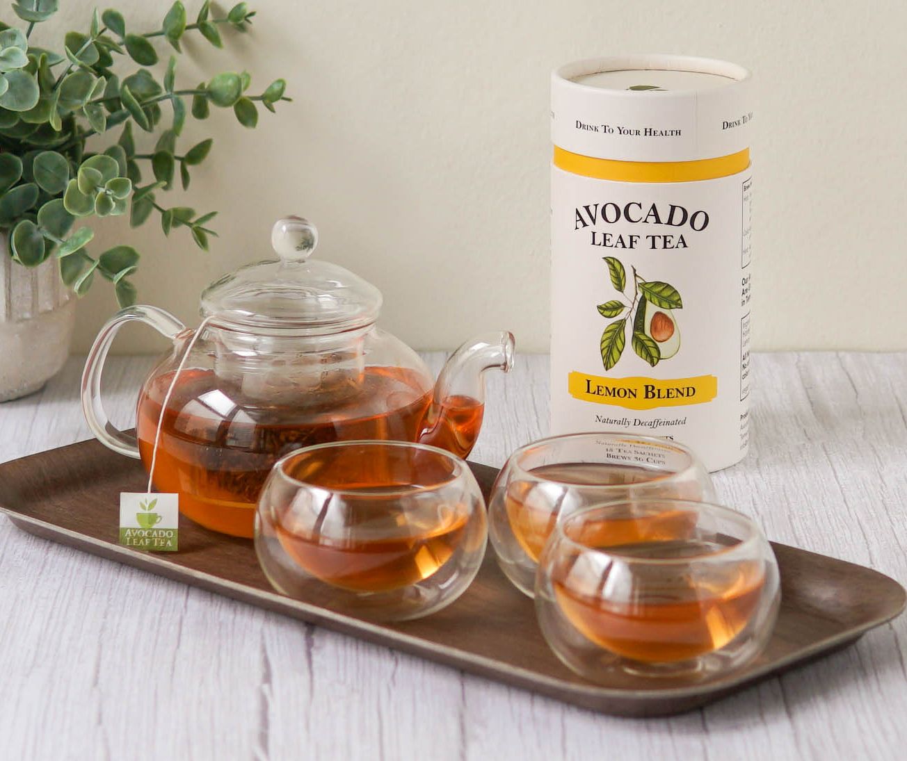 The Powerful Antioxidant Activity of The Avocado Leaf Tea