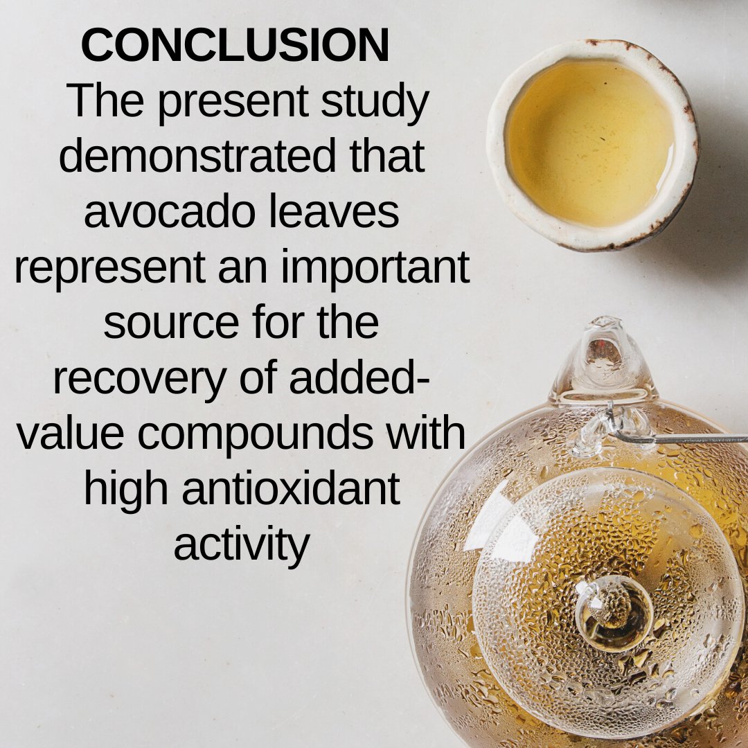 Benefits of the 37 Compounds Found in the Avocado Leaf