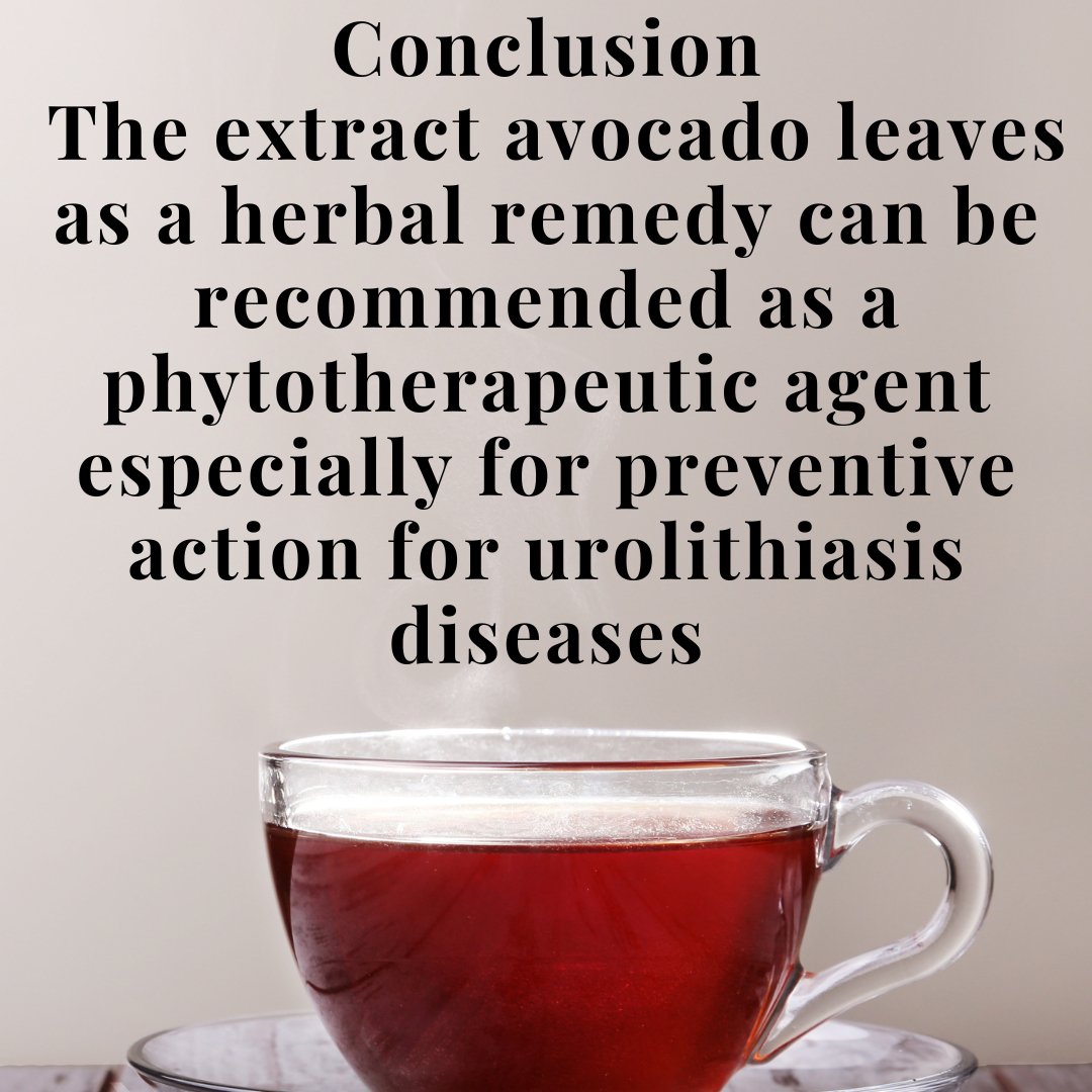 Avocado Leaf & Kidney Disease