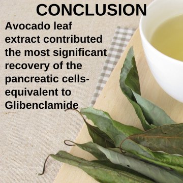 Pancreatic Cell Regeneration & Avocado Leaf Extract