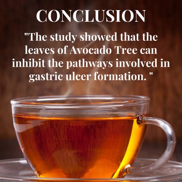 A Plant That Could Promote Healing of Gastric Ulcers