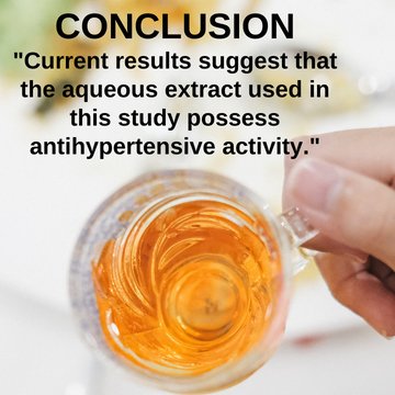 Can Cardiovascular Diseases Be Managed and Treated with Avocado Leaf Extract?