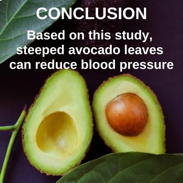 1st International Nursing Conference  2015