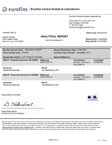 Pure Sips: How Avocado Tea Co. Ensures Your Tea is Free of Heavy Metals and Pesticides