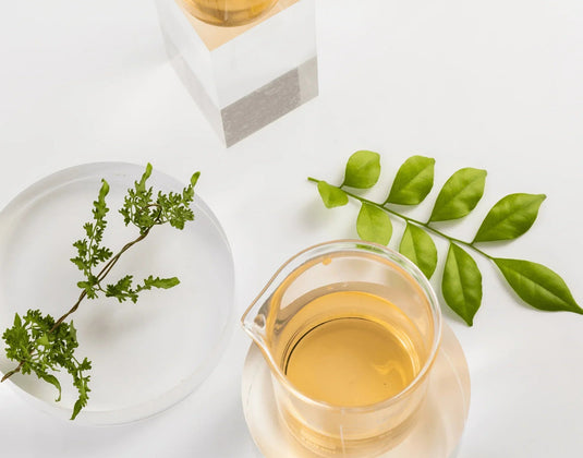 Recent Study Shows High Antioxidant Activity in Avocado Leaves